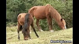 1450 sexy porn videos